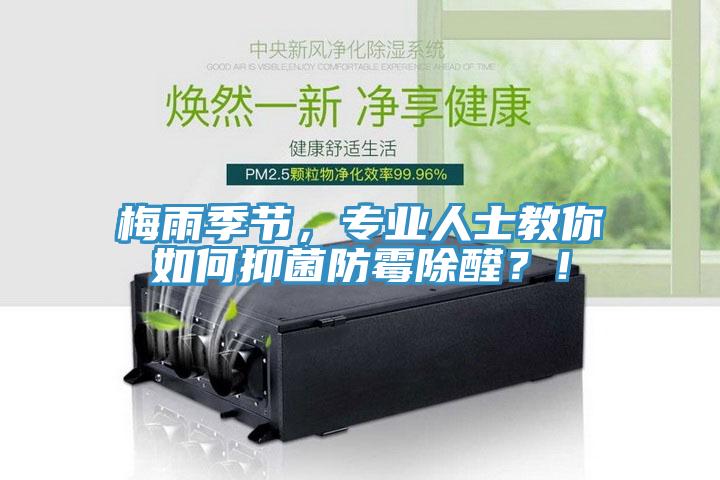 梅雨季節(jié)，專(zhuān)業(yè)人士教你如何抑菌防霉除醛？！