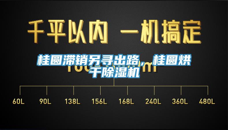 桂圓滯銷另尋出路，桂圓烘干除濕機