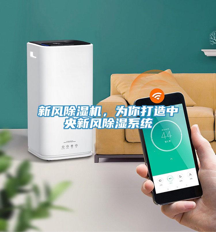 新風(fēng)除濕機(jī)，為你打造中央新風(fēng)除濕系統(tǒng)