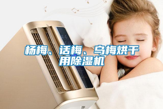 楊梅、話梅、烏梅烘干用除濕機(jī)