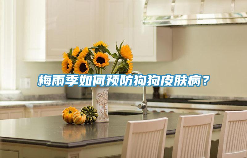 梅雨季如何預(yù)防狗狗皮膚?。?></div>
								<div   id=