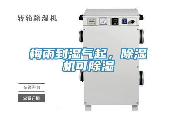 梅雨到濕氣起，除濕機可除濕