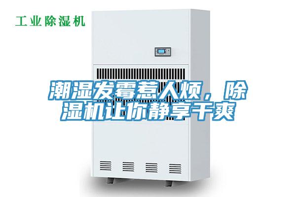 潮濕發(fā)霉惹人煩，除濕機讓你靜享干爽