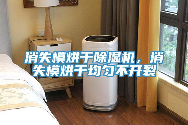 消失模烘干除濕機，消失模烘干均勻不開裂