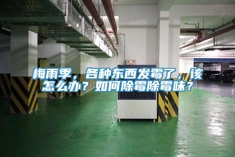梅雨季，各種東西發(fā)霉了，該怎么辦？如何除霉除霉味？