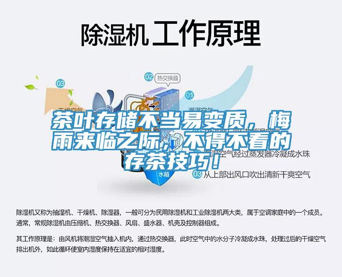 茶葉存儲(chǔ)不當(dāng)易變質(zhì)，梅雨來(lái)臨之際，不得不看的存茶技巧！