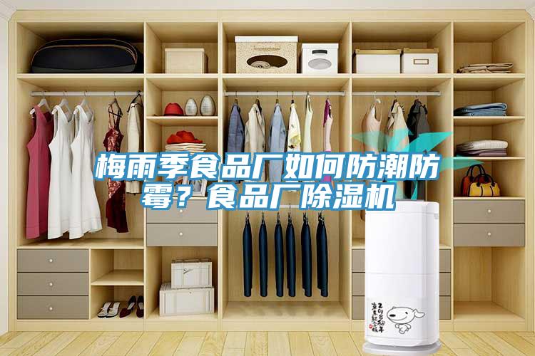 梅雨季食品廠如何防潮防霉？食品廠除濕機(jī)