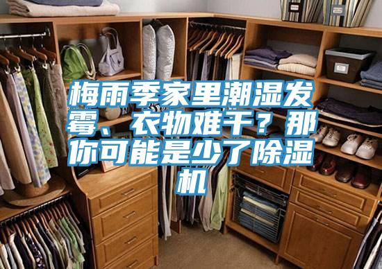 梅雨季家里潮濕發(fā)霉、衣物難干？那你可能是少了除濕機(jī)