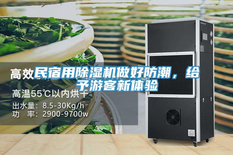民宿用除濕機(jī)做好防潮，給予游客新體驗(yàn)