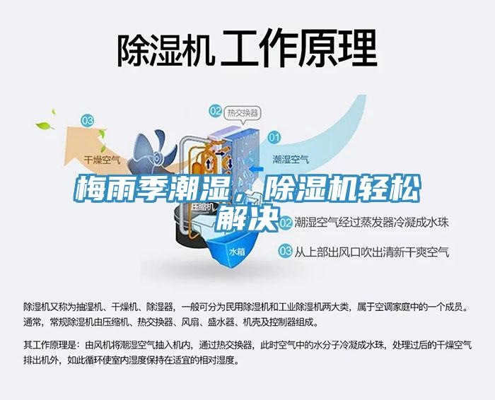 梅雨季潮濕，除濕機(jī)輕松解決