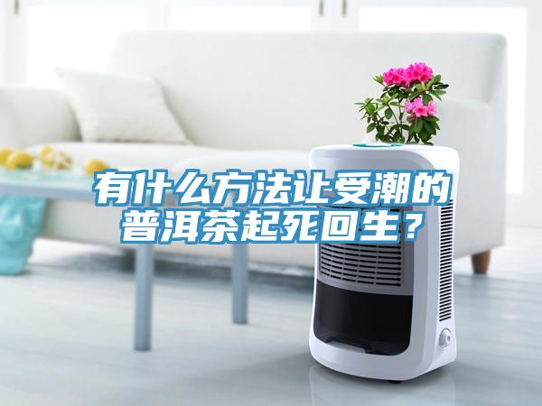 有什么方法讓受潮的普洱茶起死回生？