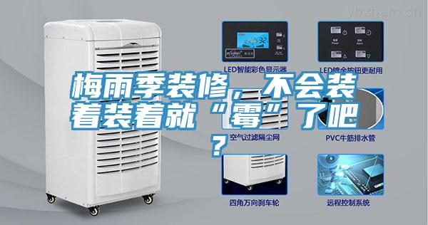 梅雨季裝修，不會裝著裝著就“霉”了吧？