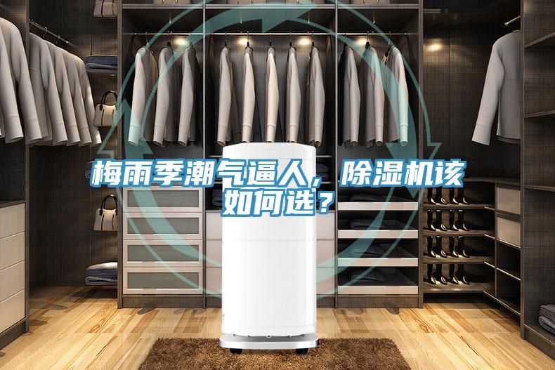 梅雨季潮氣逼人，除濕機該如何選？