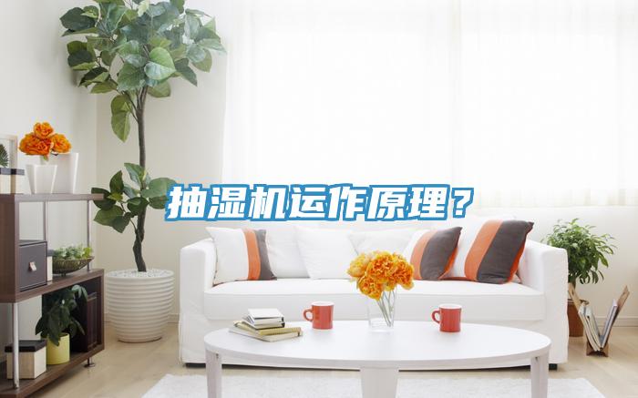 抽濕機(jī)運(yùn)作原理？