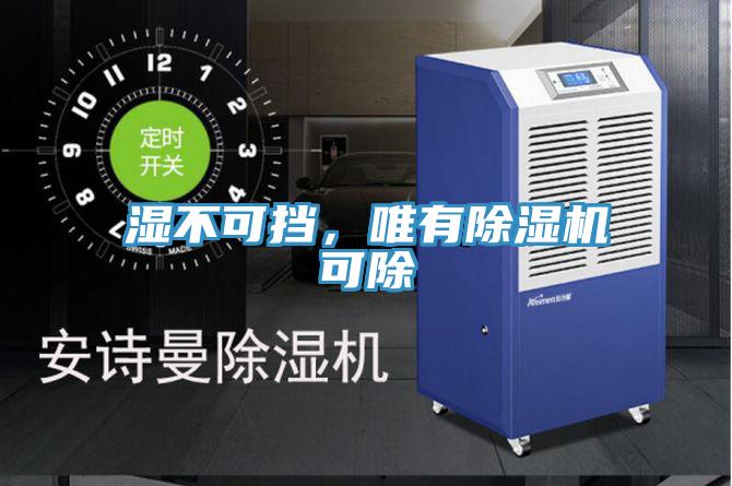 濕不可擋，唯有除濕機可除