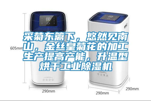 采菊東籬下，悠然見南山，金絲皇菊花的加工生產提高產能，升溫型烘干工業(yè)除濕機