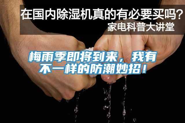 梅雨季即將到來，我有不一樣的防潮妙招！
