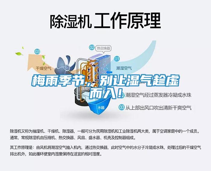 梅雨季節(jié)，別讓濕氣趁虛而入！