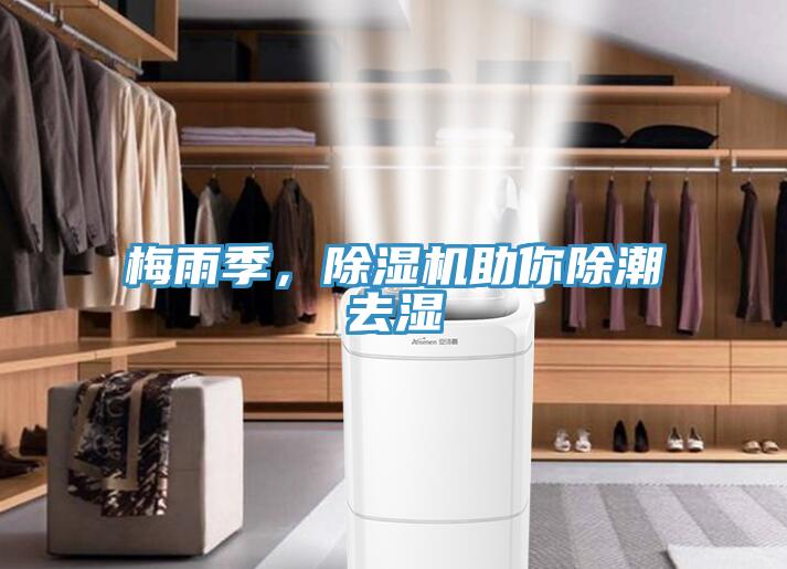 梅雨季，除濕機助你除潮去濕