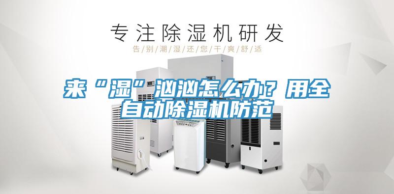 來“濕”洶洶怎么辦？用全自動(dòng)除濕機(jī)防范
