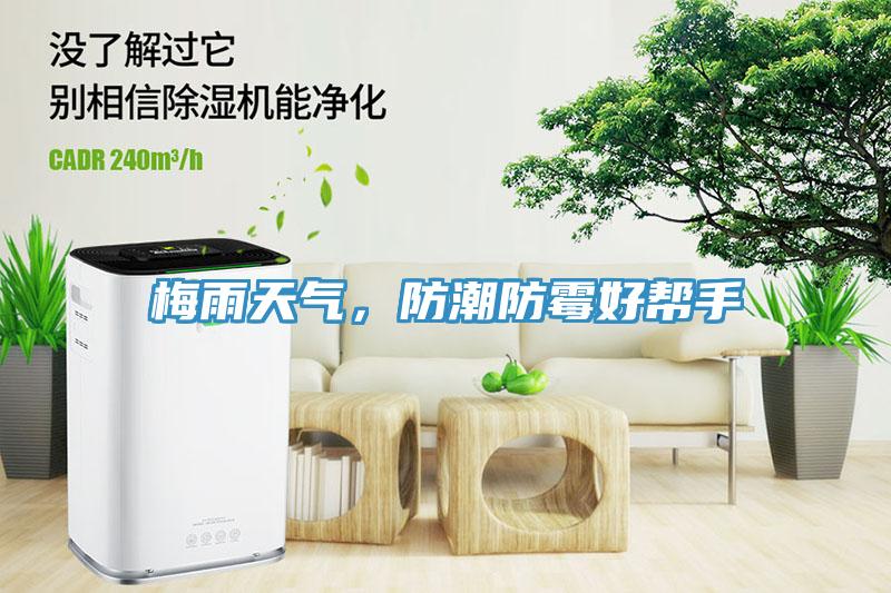 梅雨天氣，防潮防霉好幫手