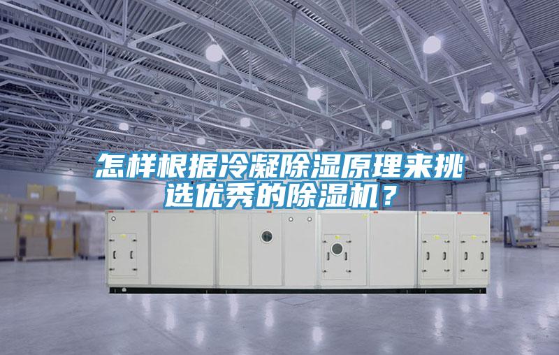 怎樣根據(jù)冷凝除濕原理來挑選優(yōu)秀的除濕機(jī)？