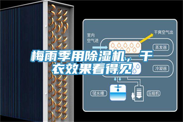 梅雨季用除濕機(jī)，干衣效果看得見(jiàn)