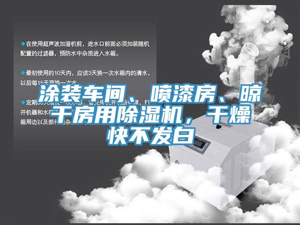 涂裝車間、噴漆房、晾干房用除濕機，干燥快不發(fā)白