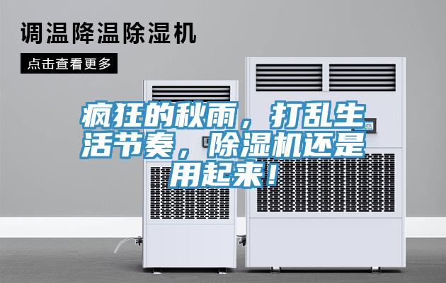 瘋狂的秋雨，打亂生活節(jié)奏，除濕機(jī)還是用起來！
