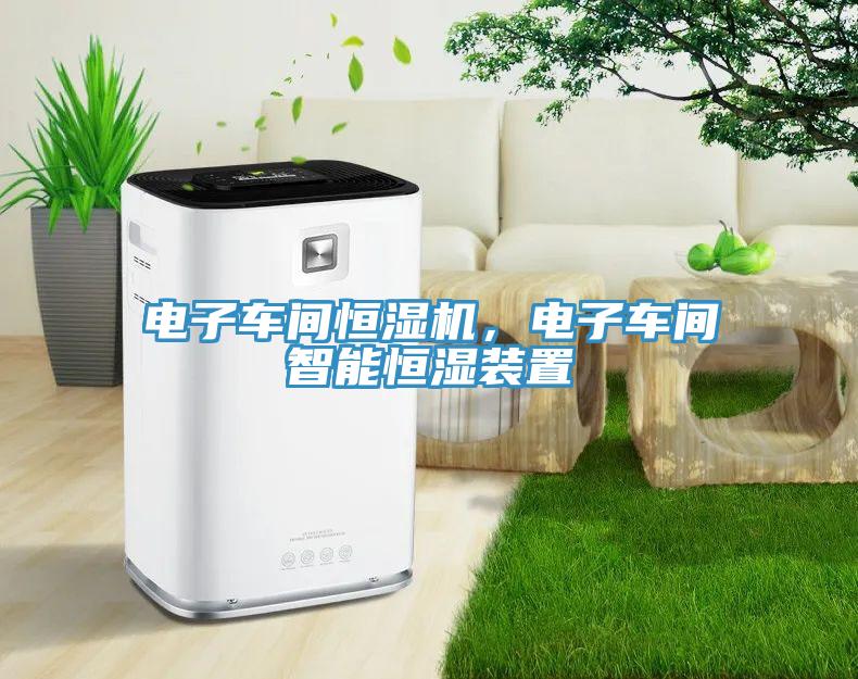電子車間恒濕機，電子車間智能恒濕裝置