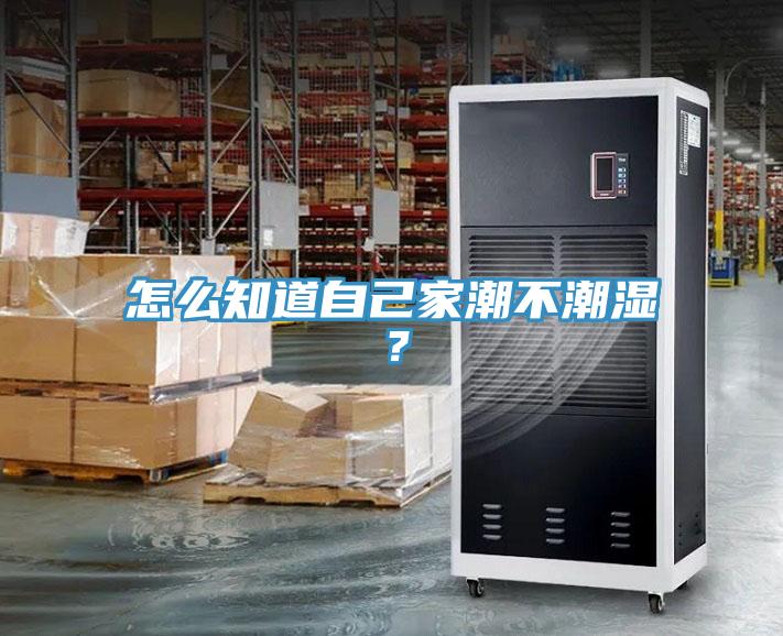 怎么知道自己家潮不潮濕？