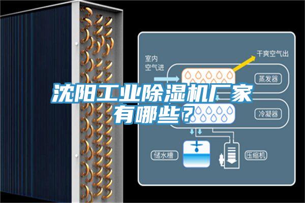 沈陽工業(yè)除濕機(jī)廠家有哪些？