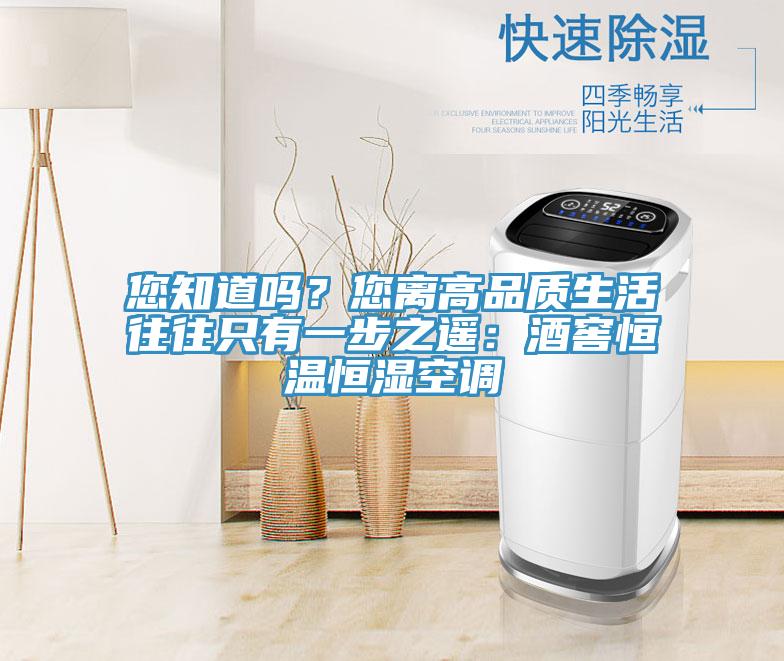 您知道嗎?您離高品質(zhì)生活往往只有一步之遙:酒窖恒溫恒濕空調(diào)