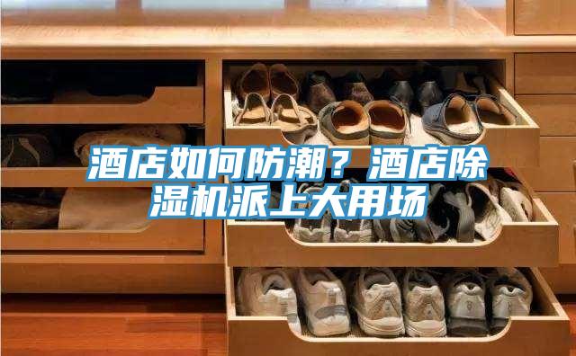 酒店如何防潮？酒店除濕機派上大用場