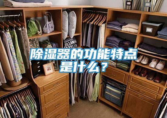 除濕器的功能特點(diǎn)是什么？
