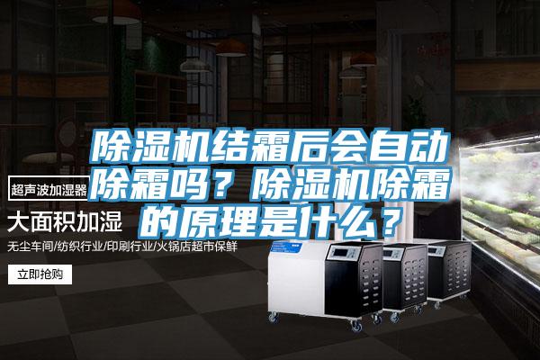 除濕機結霜后會自動除霜嗎？除濕機除霜的原理是什么？