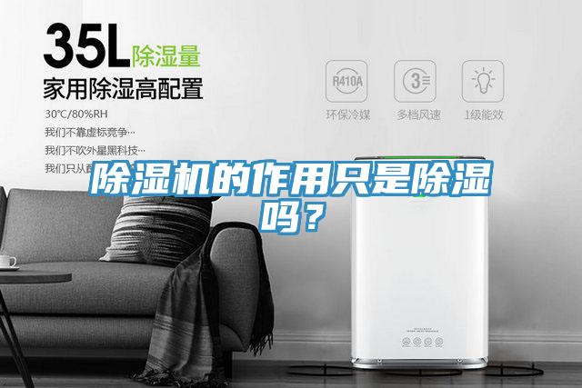 除濕機(jī)的作用只是除濕嗎？