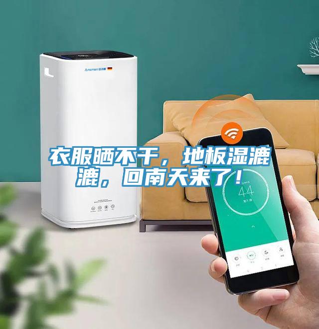 衣服曬不干，地板濕漉漉，回南天來了！