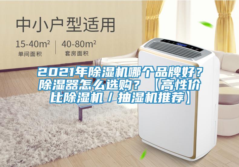 2021年除濕機(jī)哪個(gè)品牌好？除濕器怎么選購(gòu)？【高性價(jià)比除濕機(jī)／抽濕機(jī)推薦】