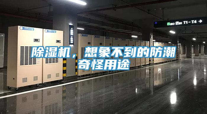 除濕機(jī)，想象不到的防潮奇怪用途