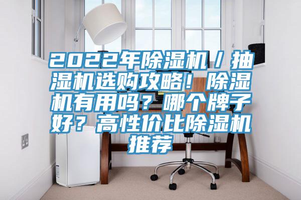 2022年除濕機／抽濕機選購攻略！除濕機有用嗎？哪個牌子好？高性價比除濕機推薦