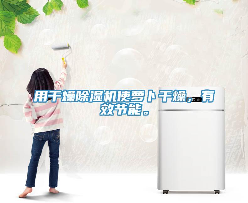 用干燥除濕機(jī)使蘿卜干燥，有效節(jié)能。
