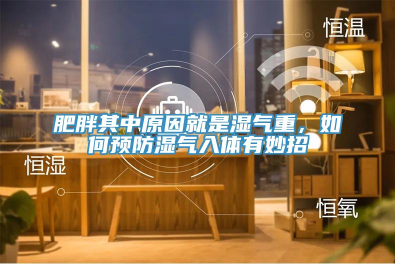 肥胖其中原因就是濕氣重，如何預(yù)防濕氣入體有妙招
