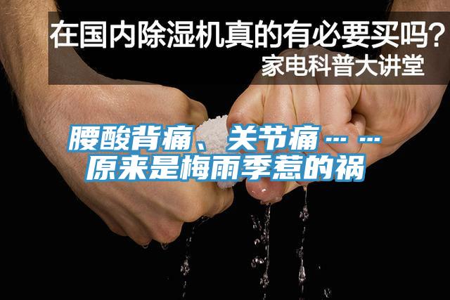 腰酸背痛、關(guān)節(jié)痛……原來是梅雨季惹的禍