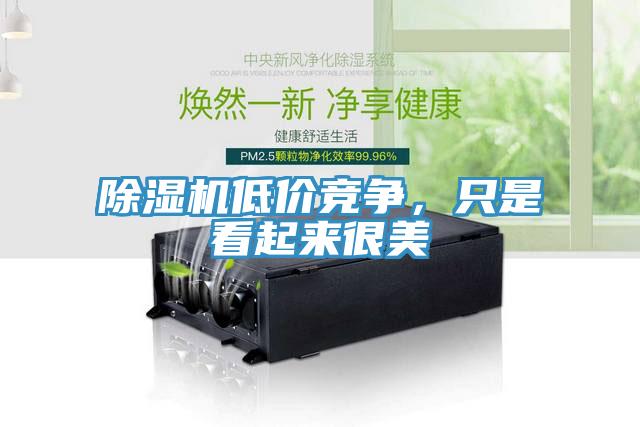 除濕機(jī)低價(jià)競(jìng)爭(zhēng)，只是看起來(lái)很美