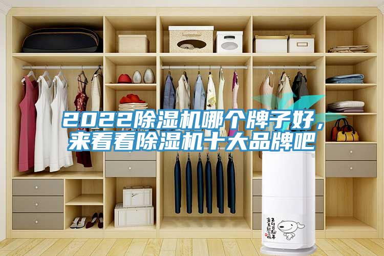 2022除濕機哪個牌子好，來看看除濕機十大品牌吧