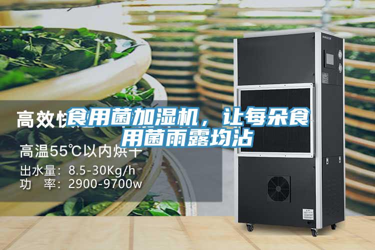 食用菌加濕機(jī)，讓每朵食用菌雨露均沾