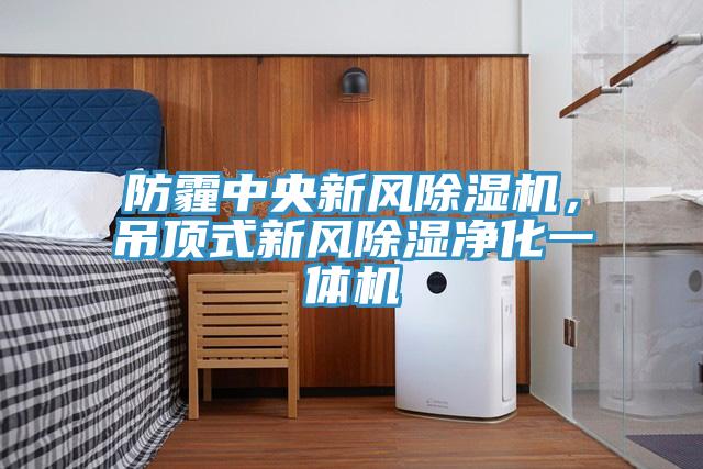 防霾中央新風(fēng)除濕機(jī)，吊頂式新風(fēng)除濕凈化一體機(jī)