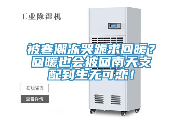 被寒潮凍哭跪求回暖？回暖也會(huì)被回南天支配到生無(wú)可戀！