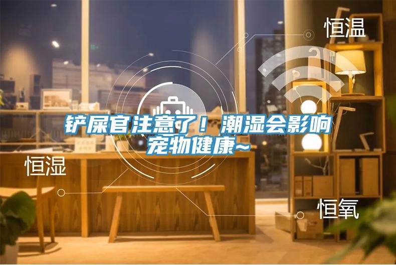 鏟屎官注意了！潮濕會影響寵物健康~